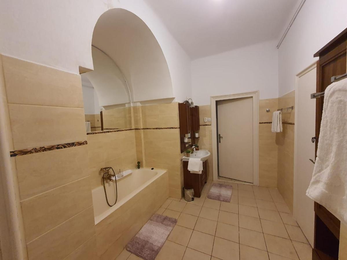 Enescu Apartment Timisoara