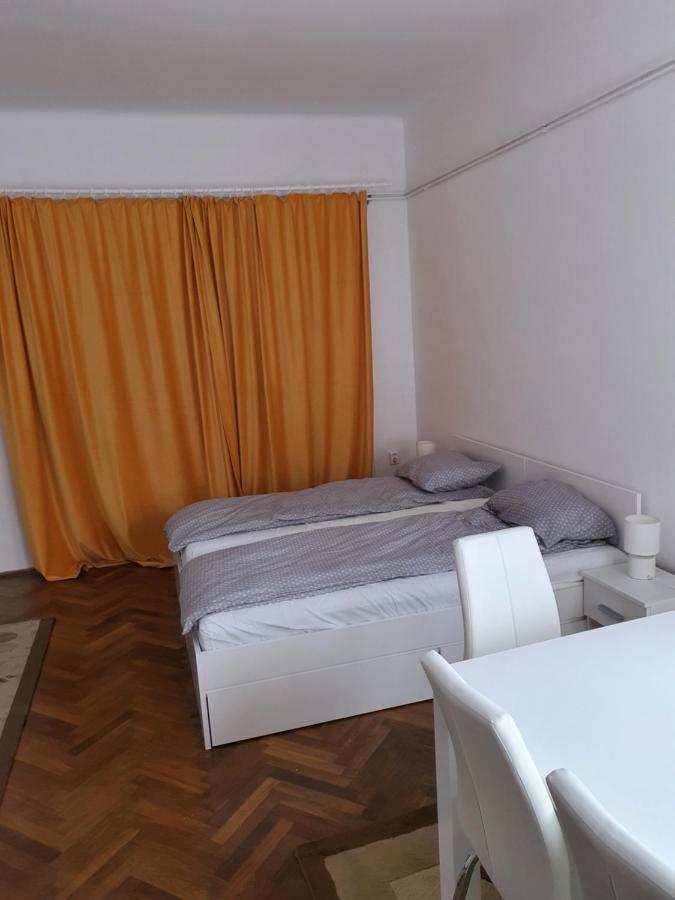 Apartment Enescu Timisoara