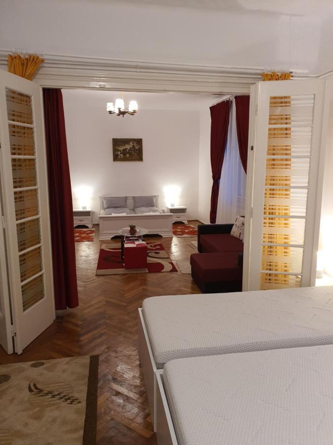 Apartment Enescu Timisoara