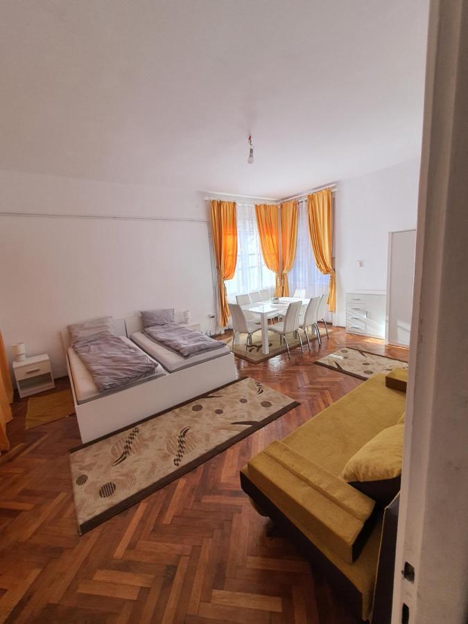 Apartment Enescu *